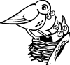Birds - Animals Coloring Pages